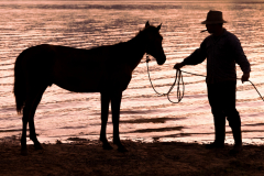 Horse and Farmer, Viñales Valley - January 2023
