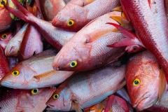 Oistins Fish Market, Barbados